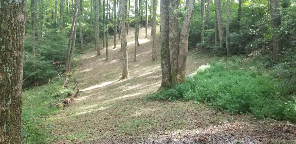 #15.  Very tough to get to the basket.  Uphill and 260ft or so.