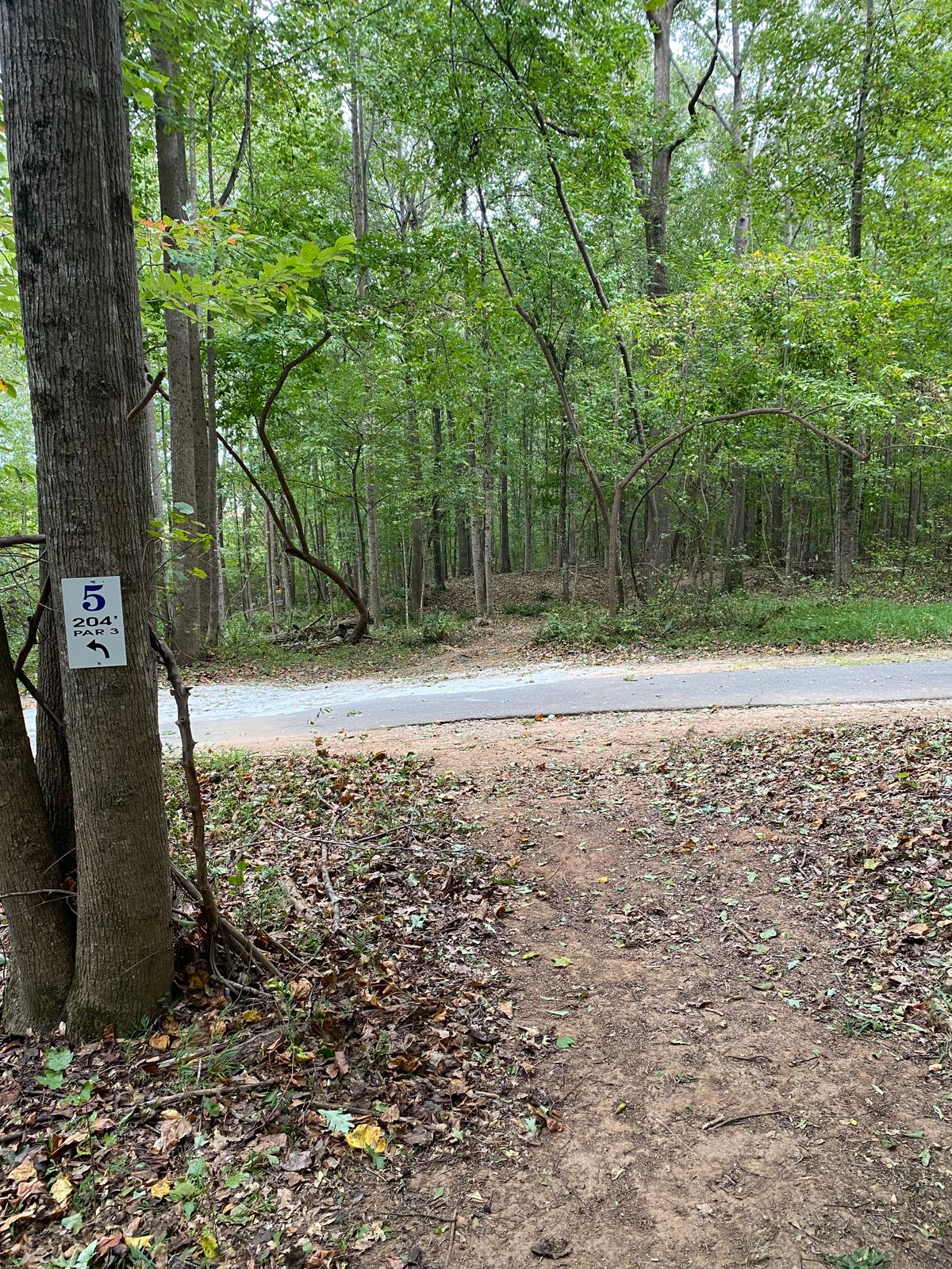 Hole 5 Tee