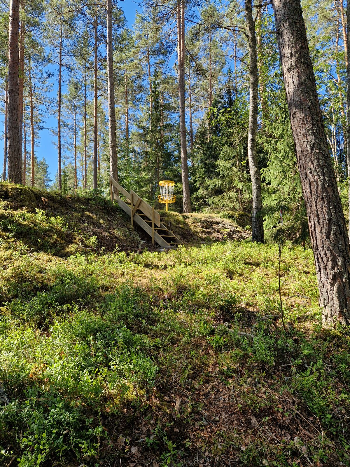 Korg hål 7