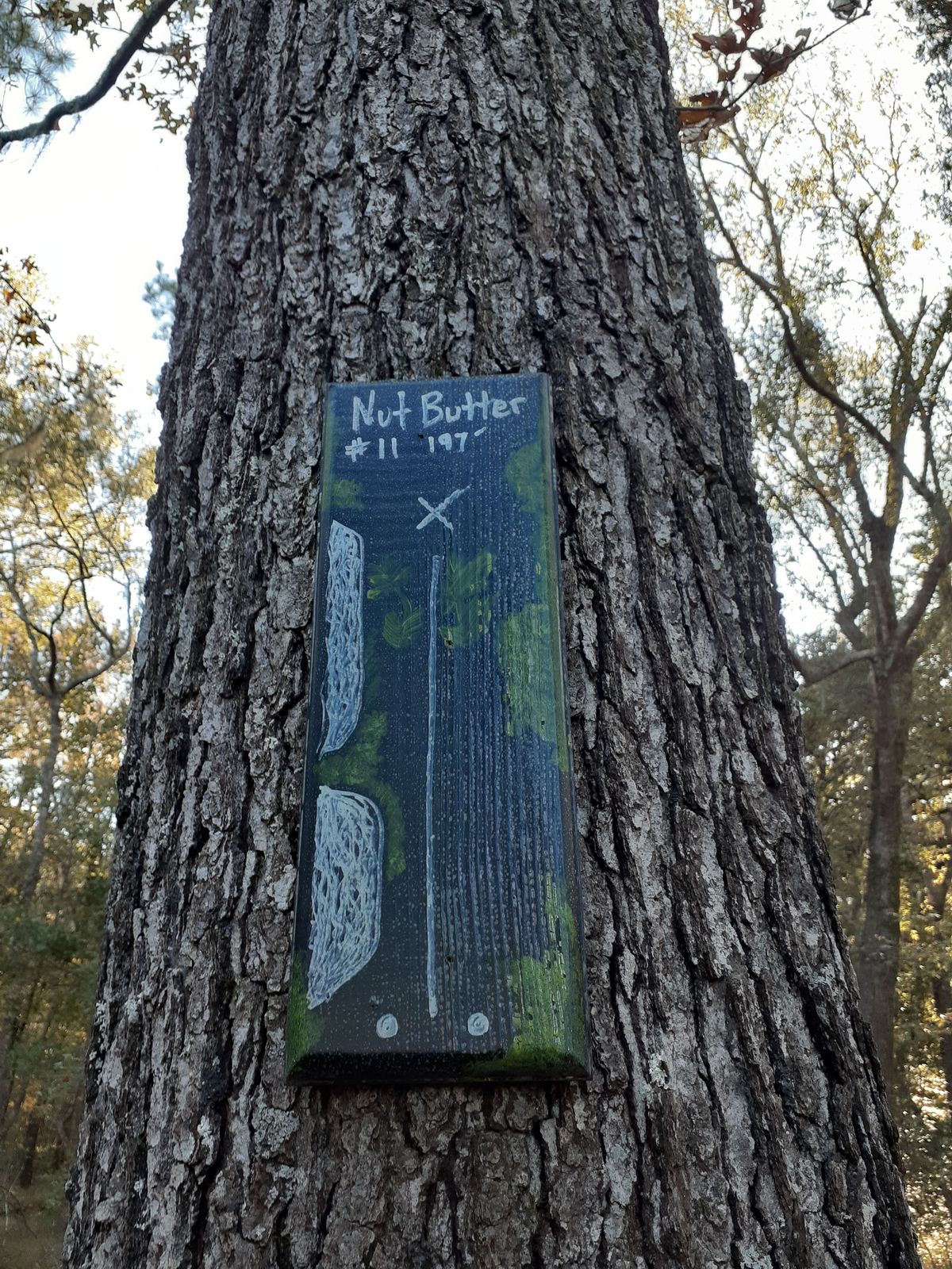 Hole #11, Nut Butter