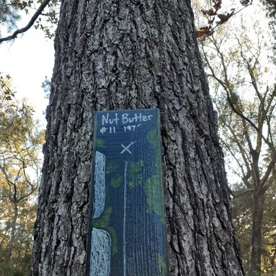 Hole #11, Nut Butter