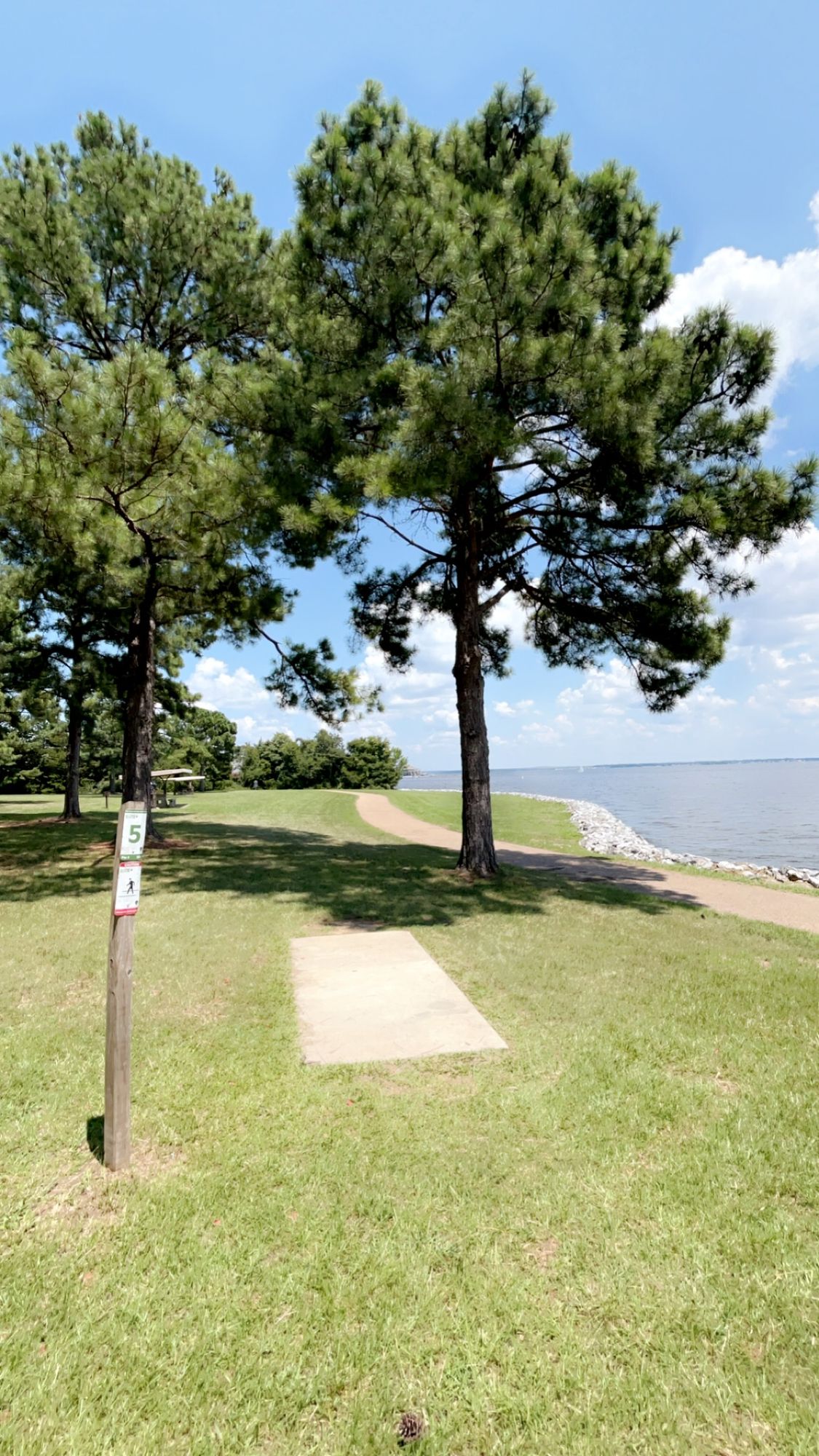 Hole 5 Tee