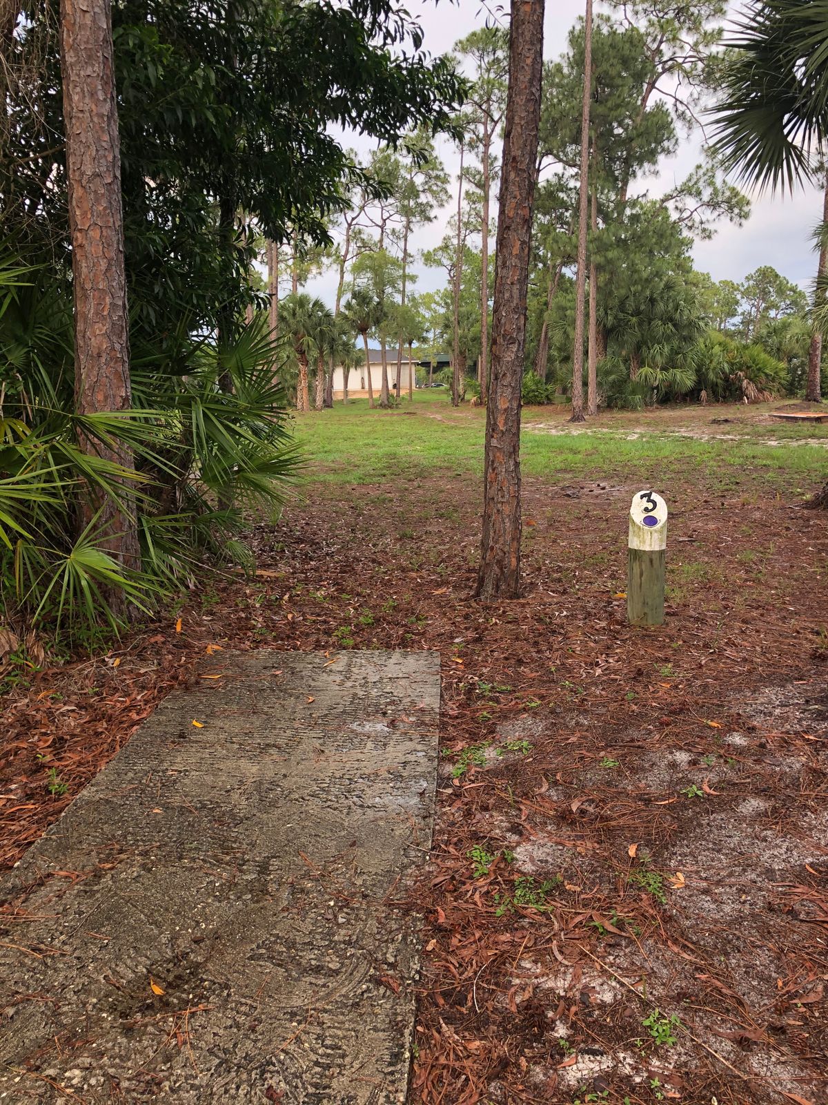 Hole 3 - Blue