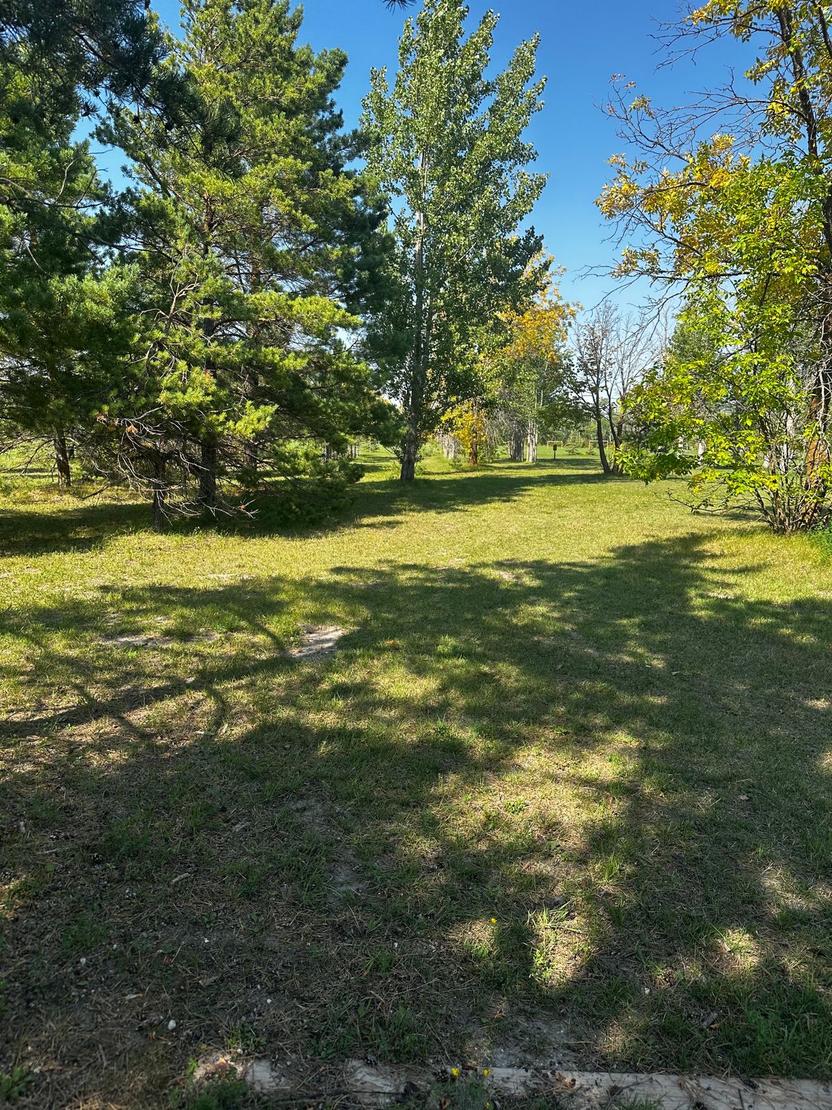 Hole 3
