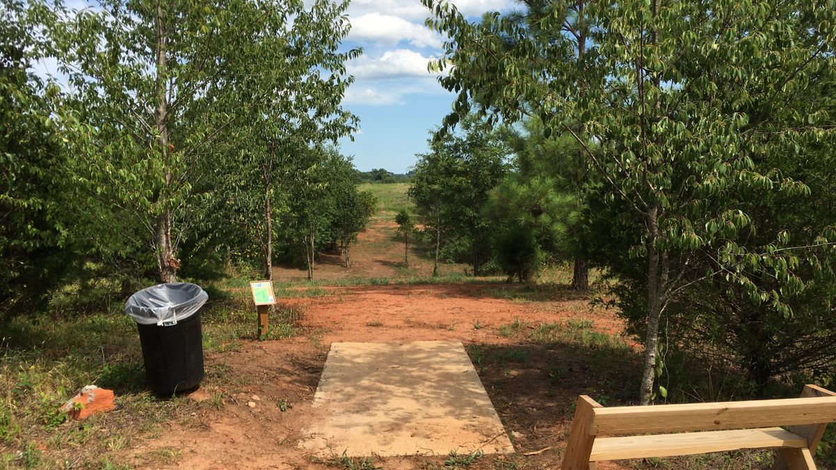 Hole 4