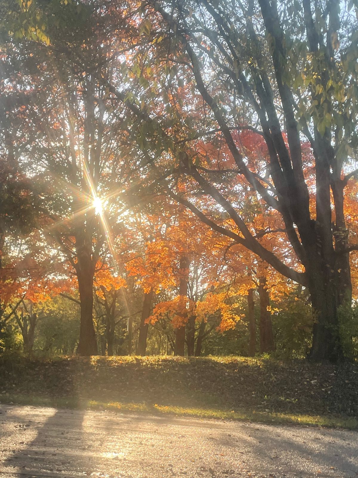 Very pretty park