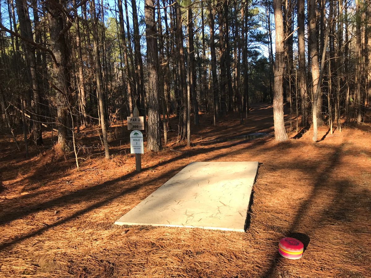 Course 2, Tee 2: Throw it straight!