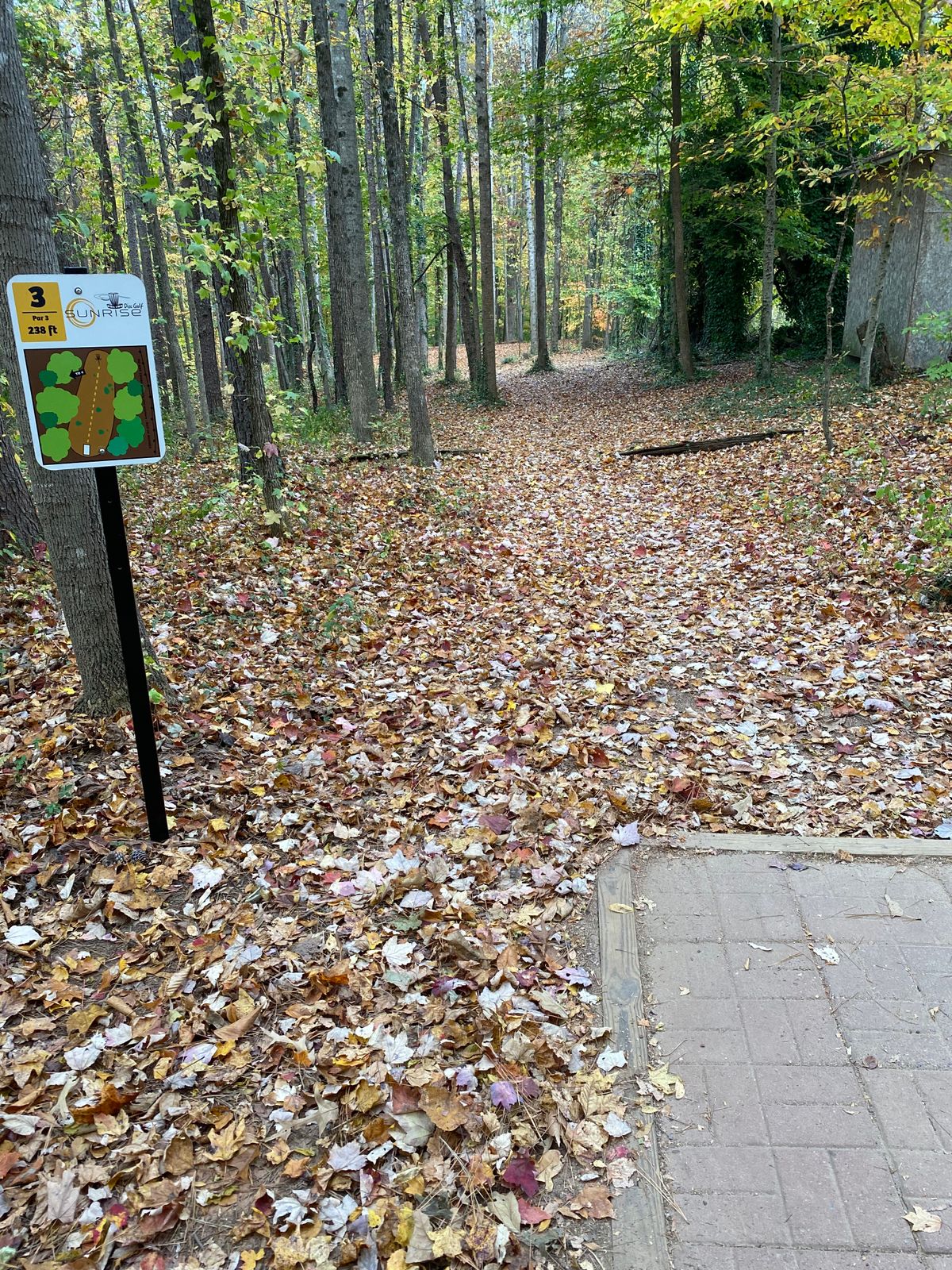 Hole 3