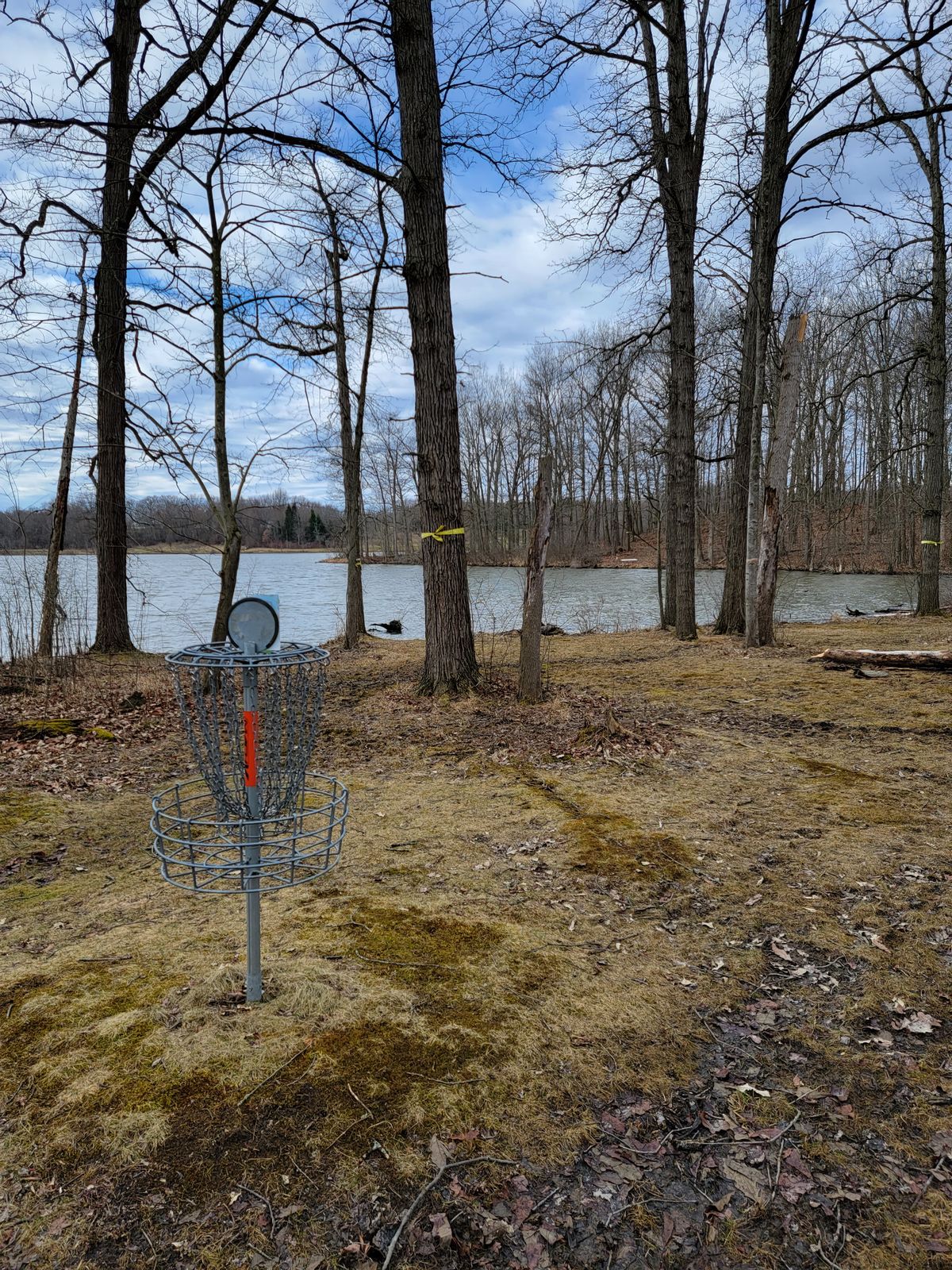 Hole 10 (basket looking at tee)