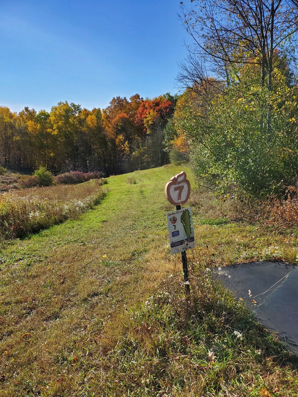 Hole 7