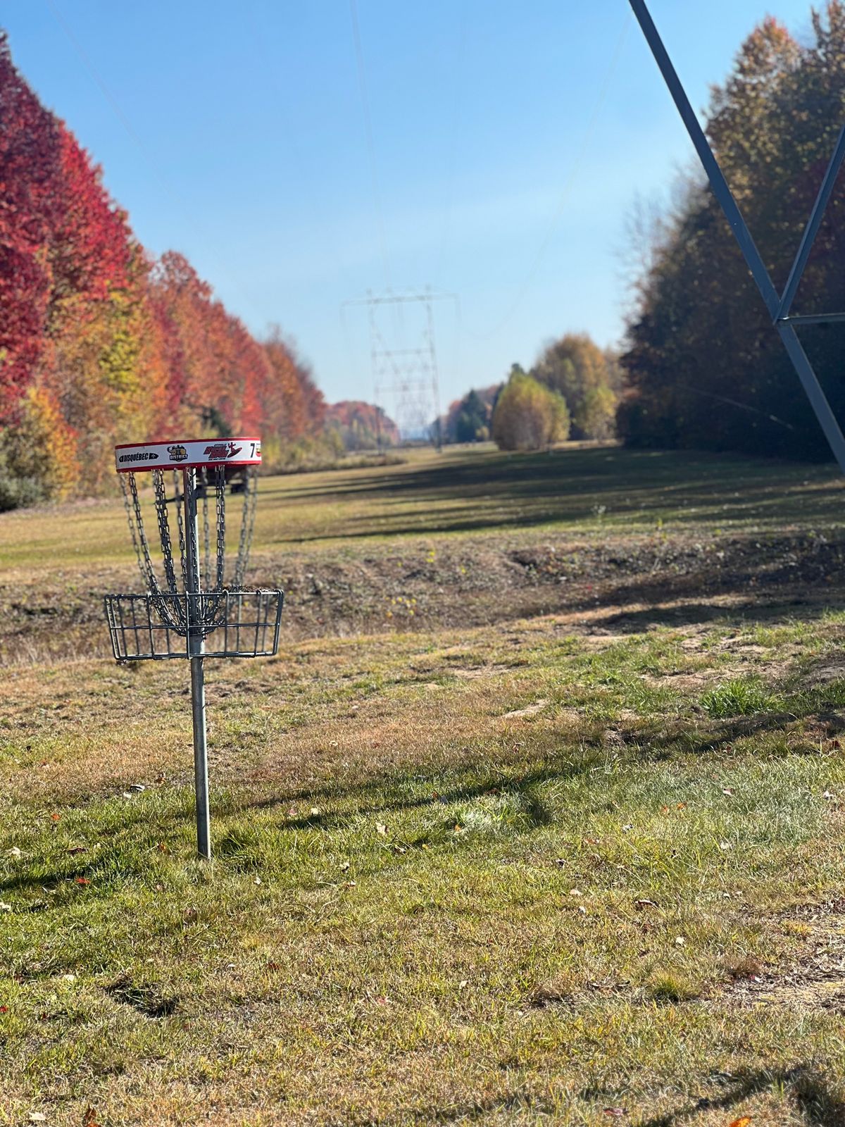 Hole 7 Basket