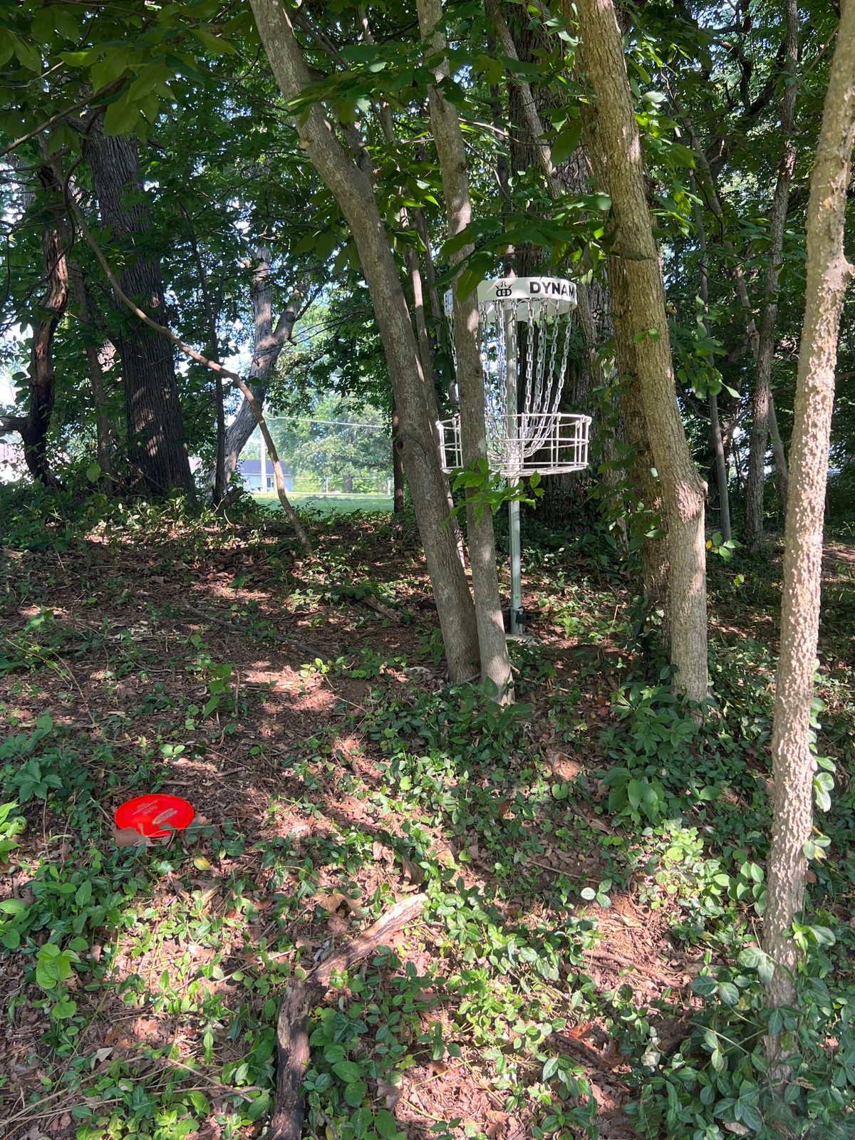 Pin tucked away nicely in the trees!