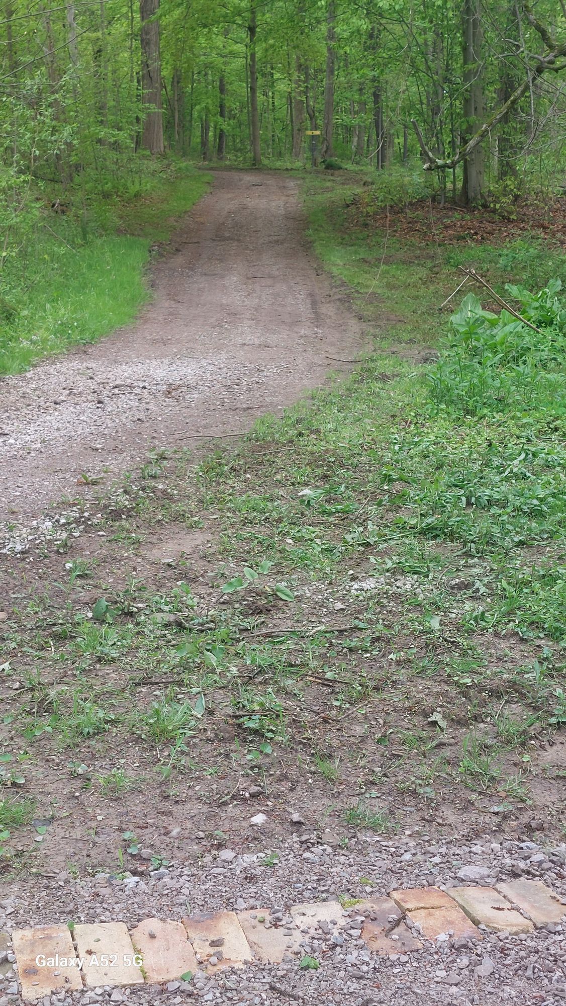 Hole 2