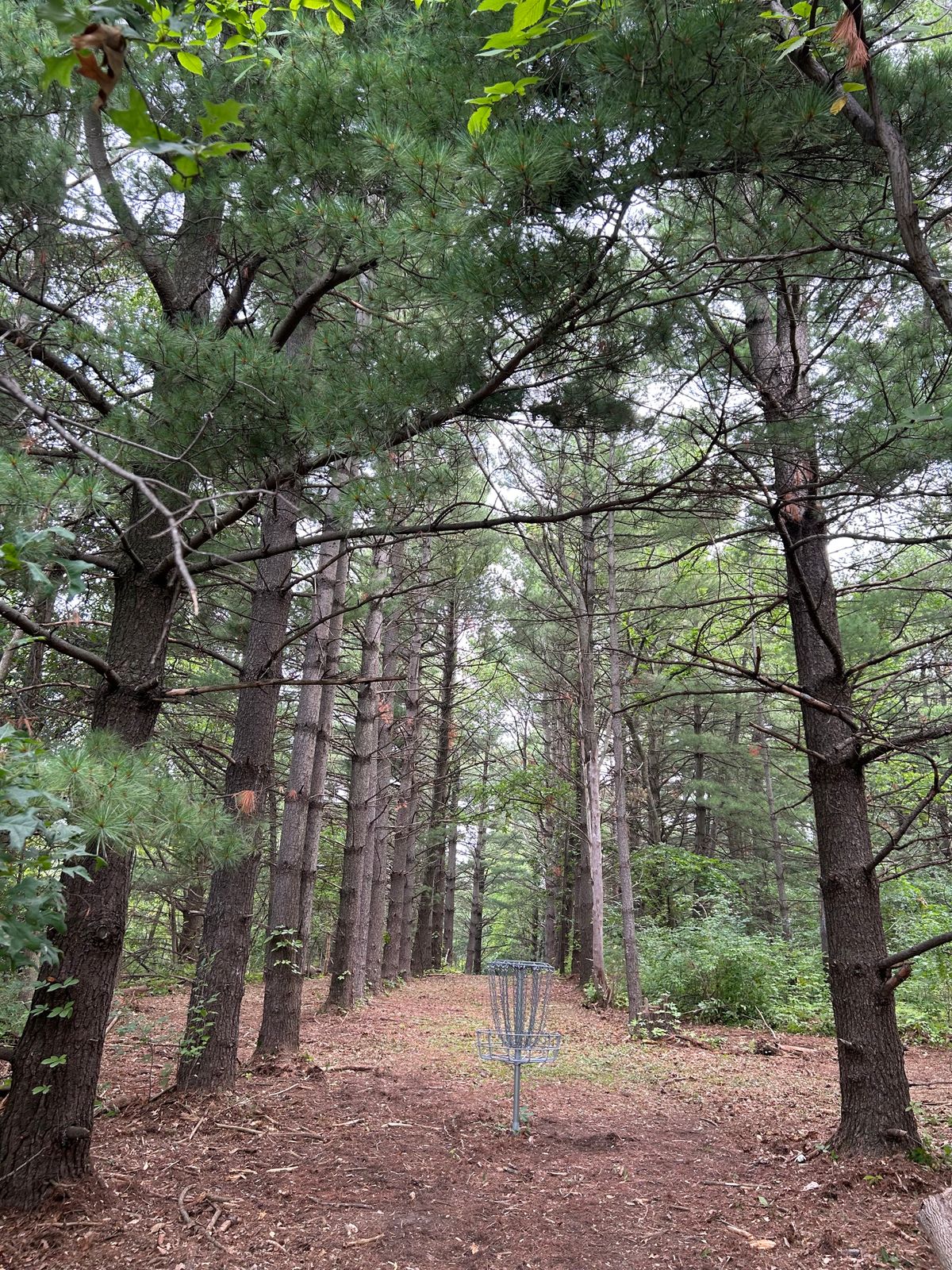 Hole 9 looking back