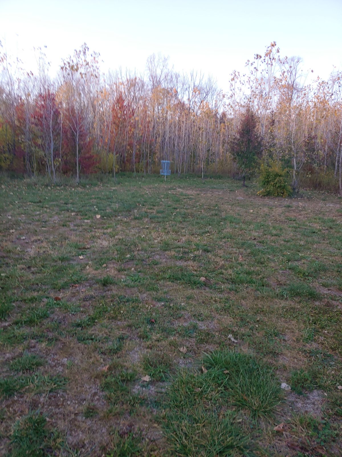Hole 2 basket