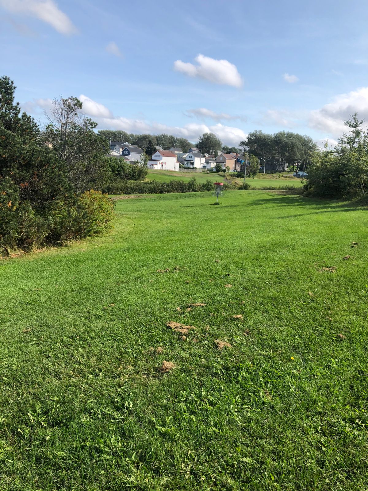 Hole 3 basket