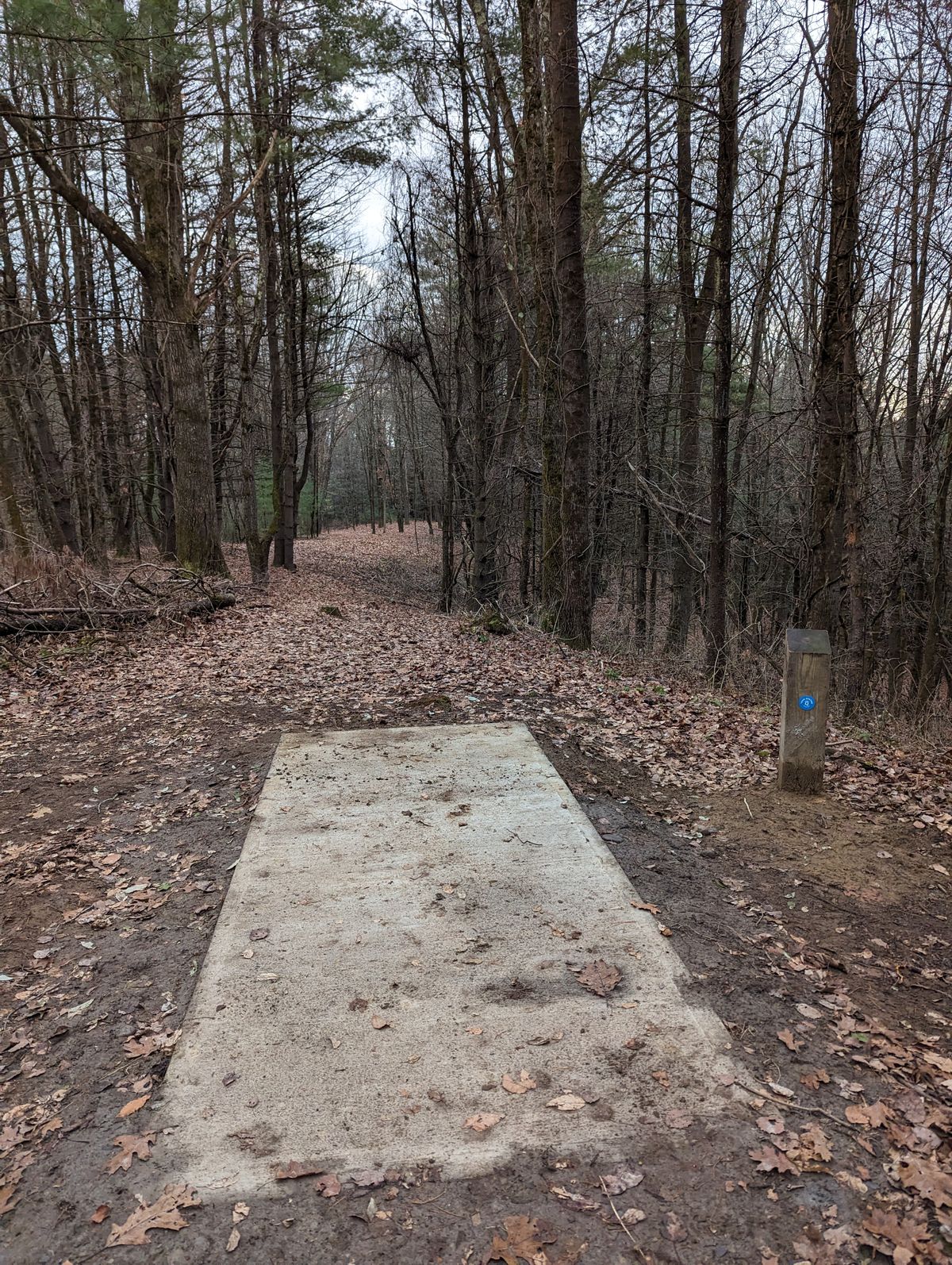 Hole 7 Blue tee