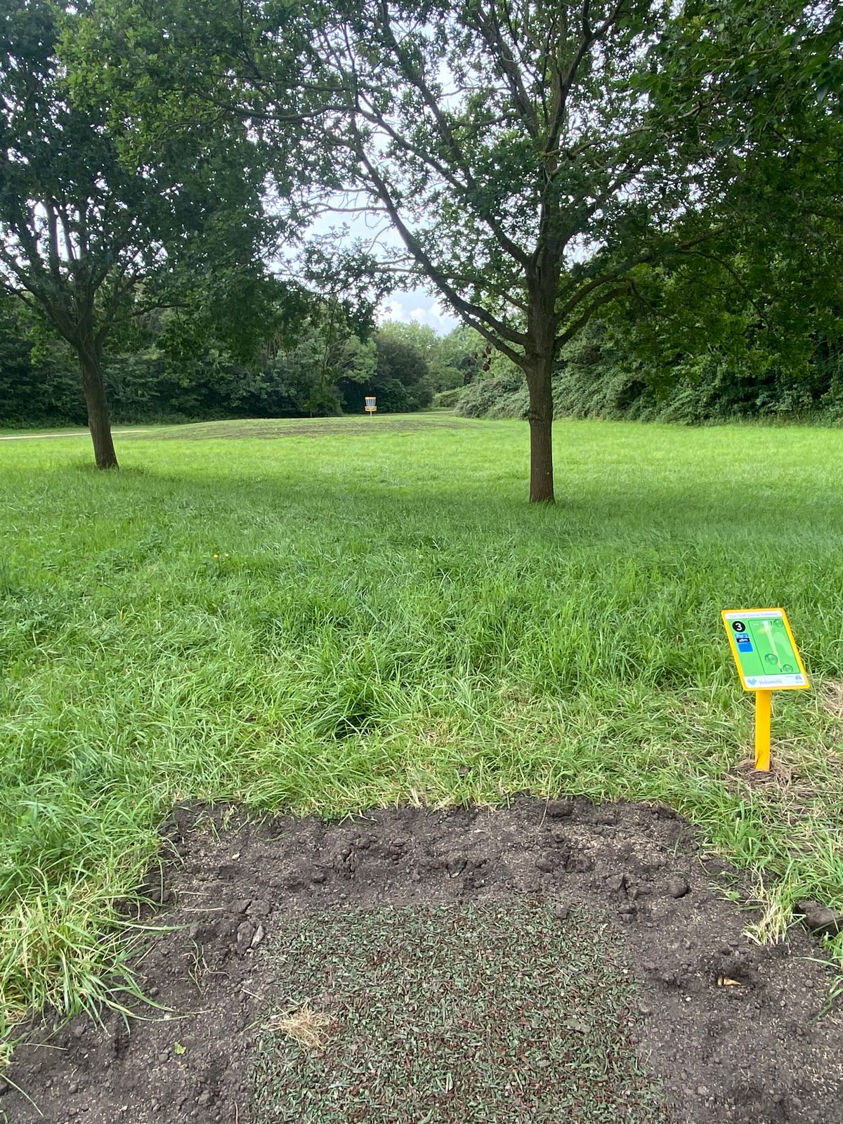 Hole 3