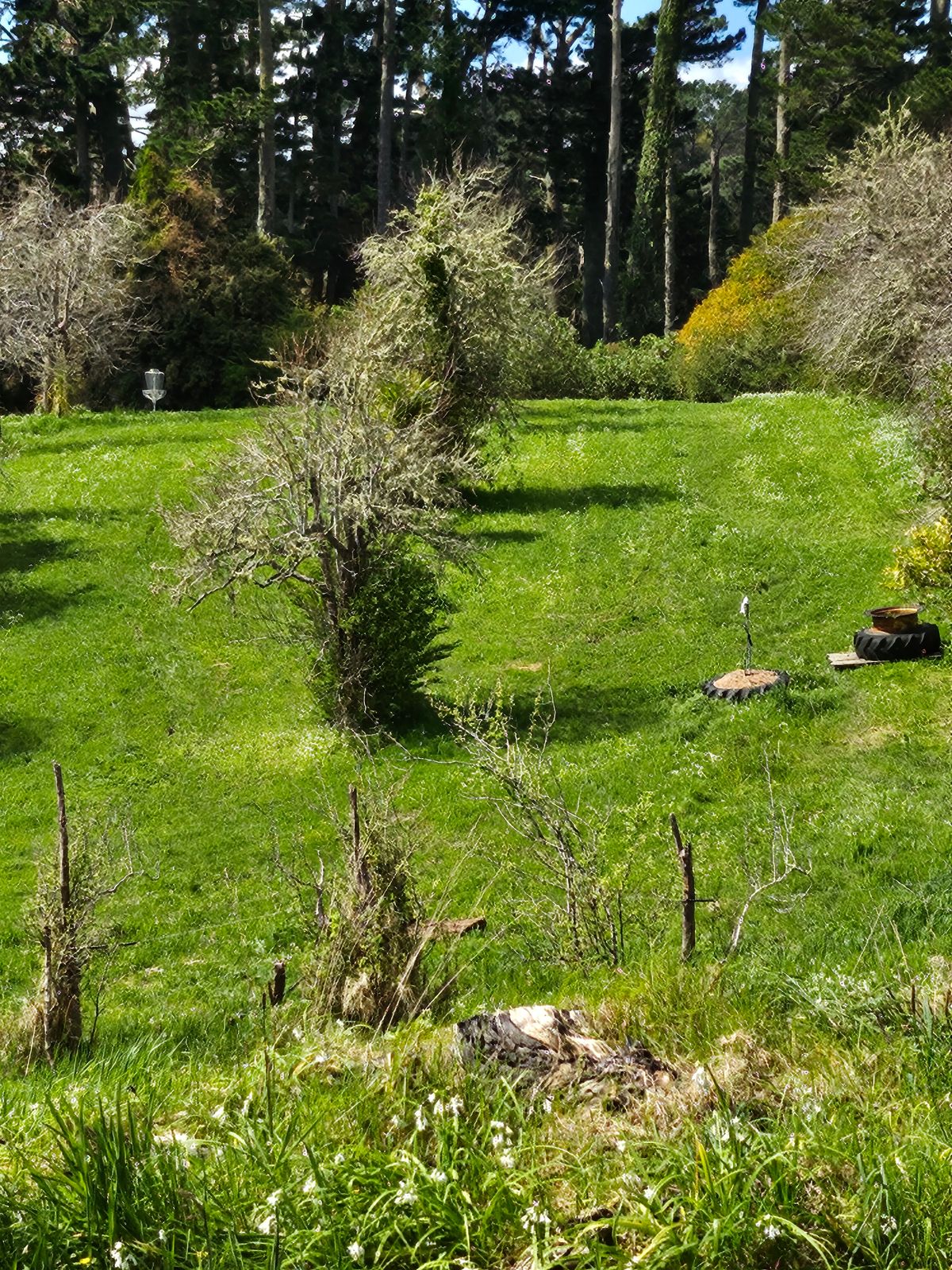View from short tee of hole 6