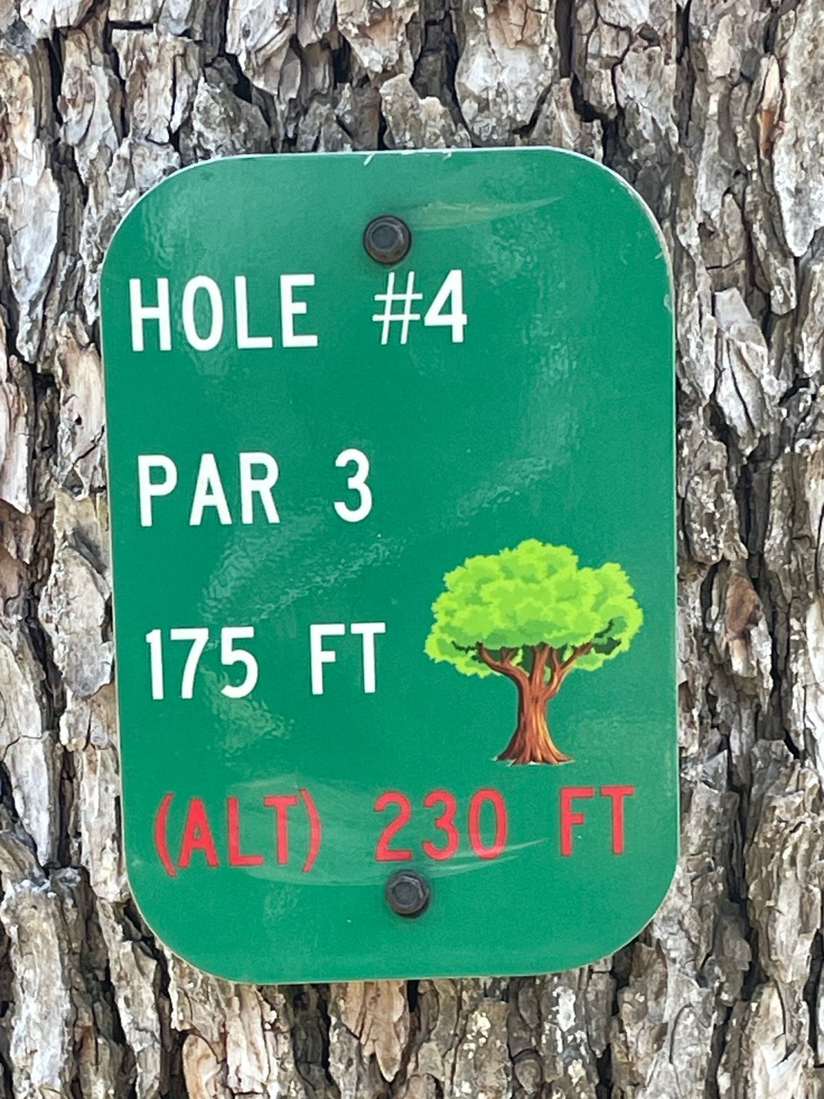 Hole 4 sign