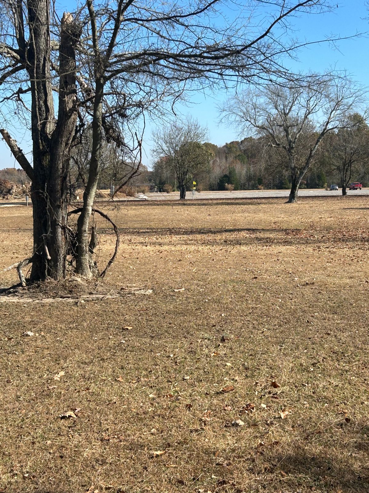 Hole 11 basket