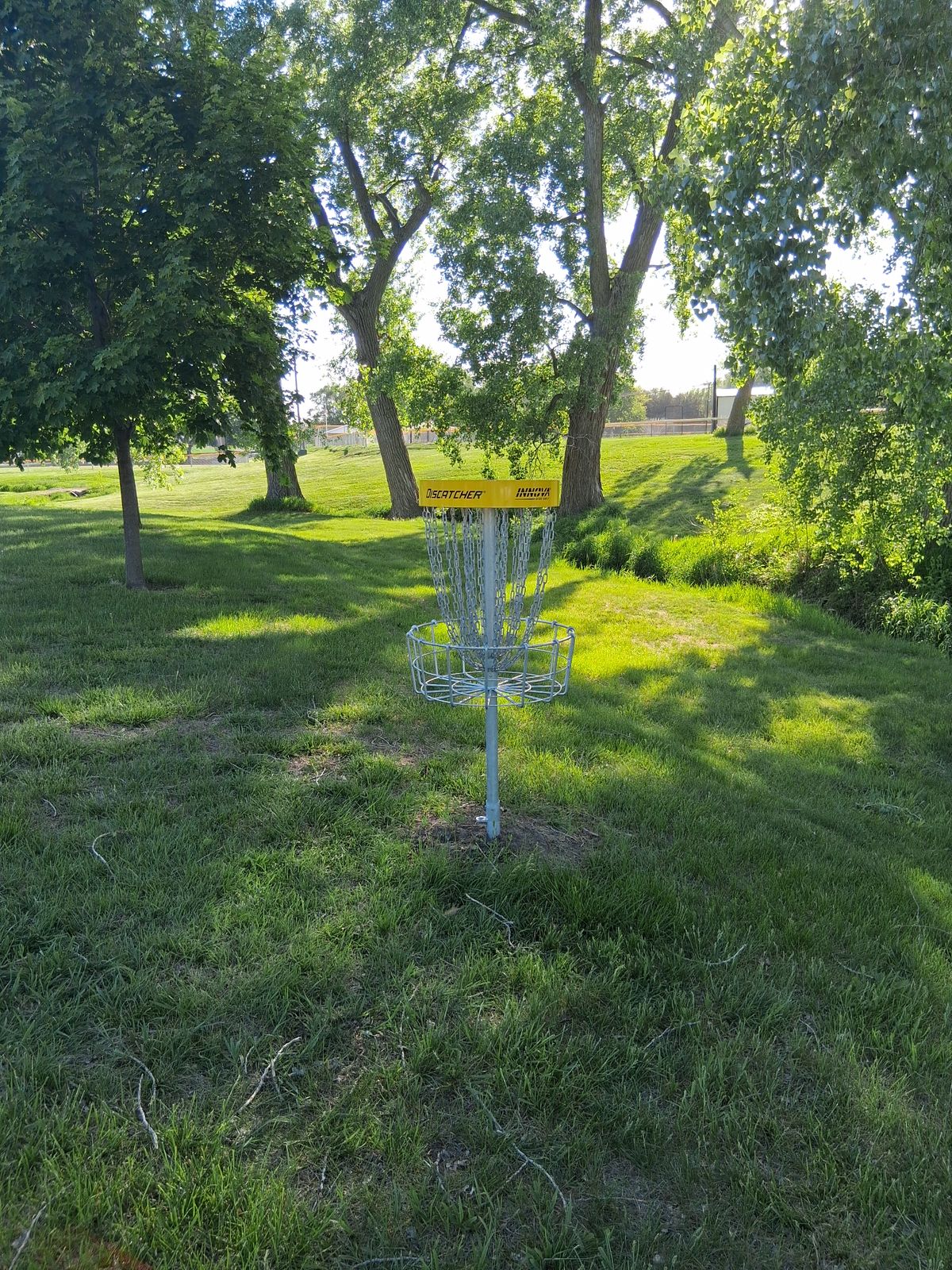 Hole 6 basket