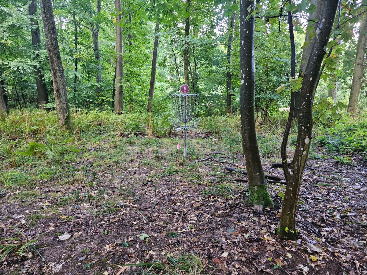 Hole 9