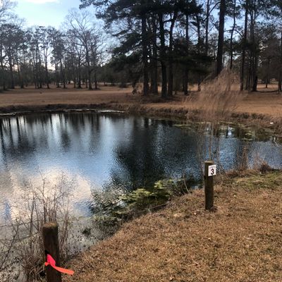 Hole 3 Tee, watch out for snakes during the summer time. Basket is in the wooded area of this photo