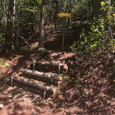 8 basket looking back up the fairway