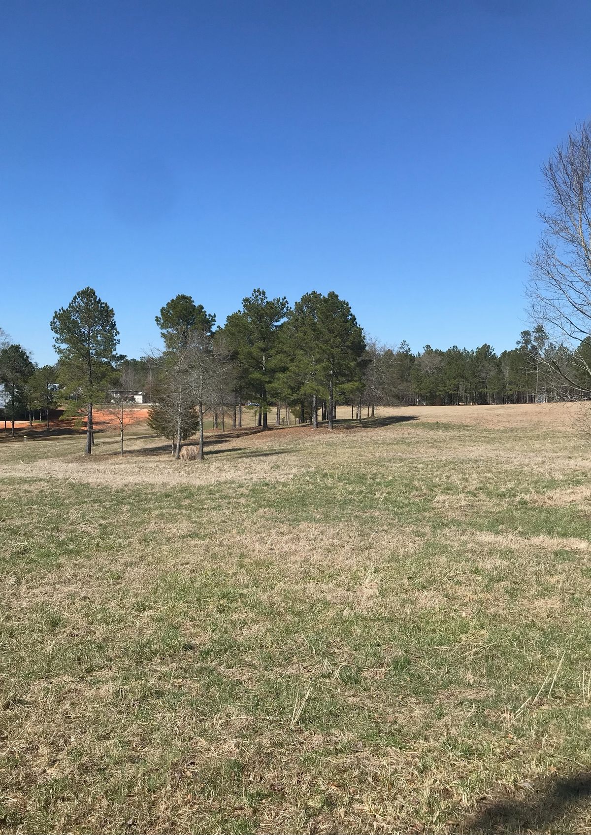 Hole 16 - tee to basket