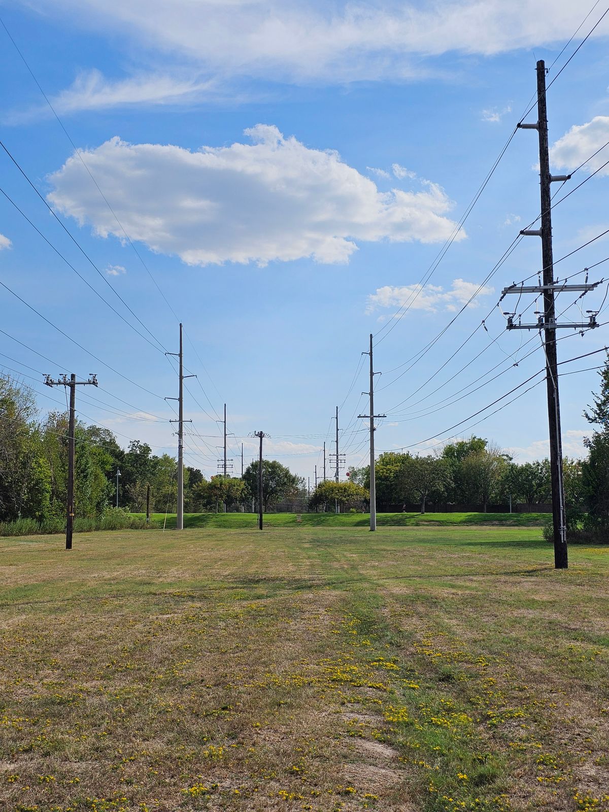 Hole 12 Fairway (continued)