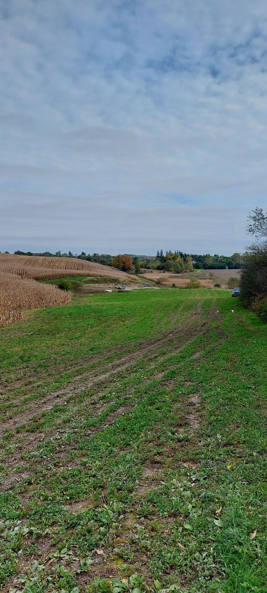 Reverse back up the fairway on hole 1. 🌽 🌽 🌽 🌽