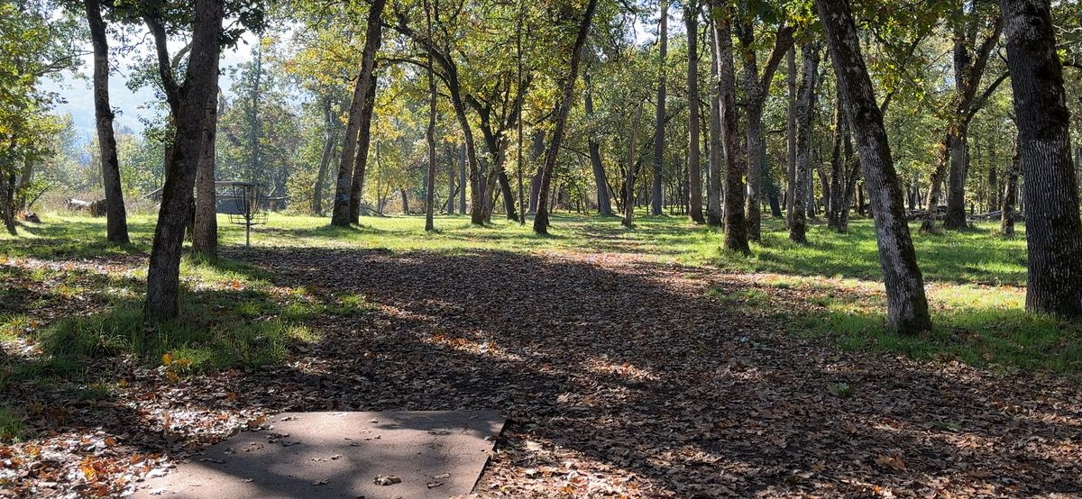 Hole 11