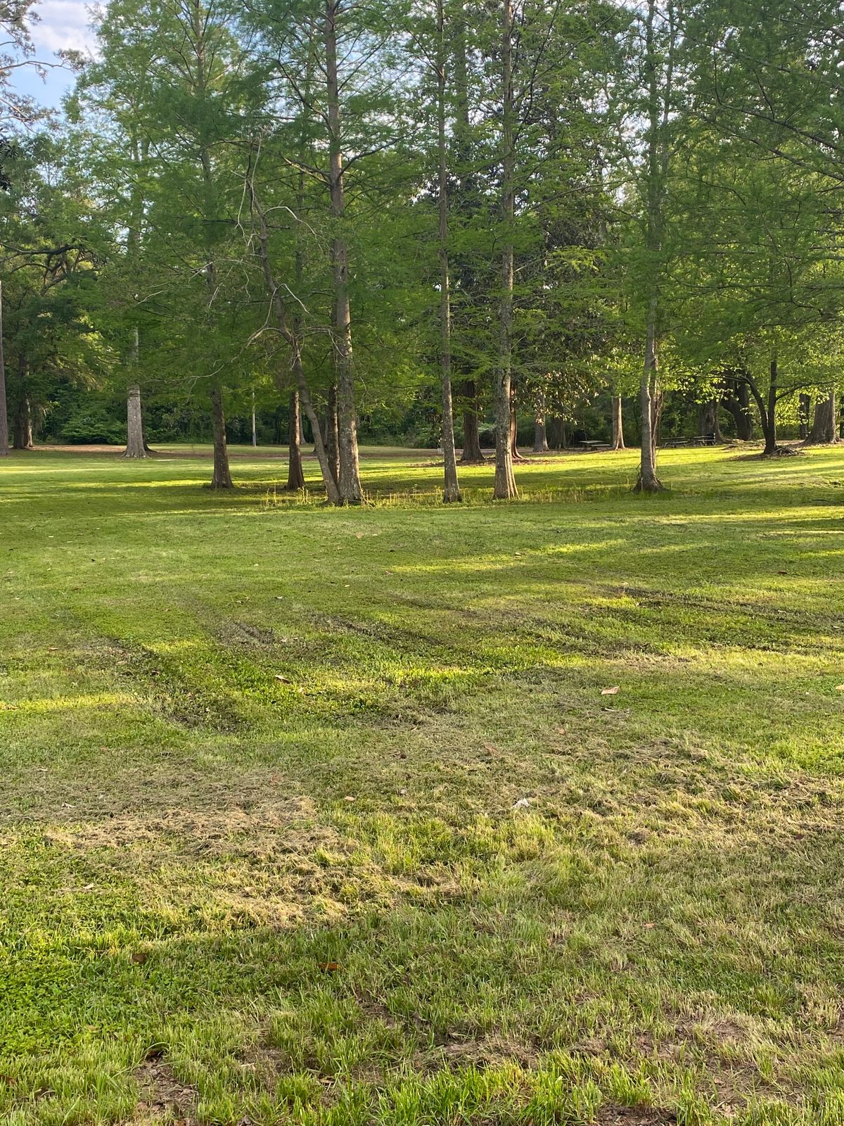 Tee 3