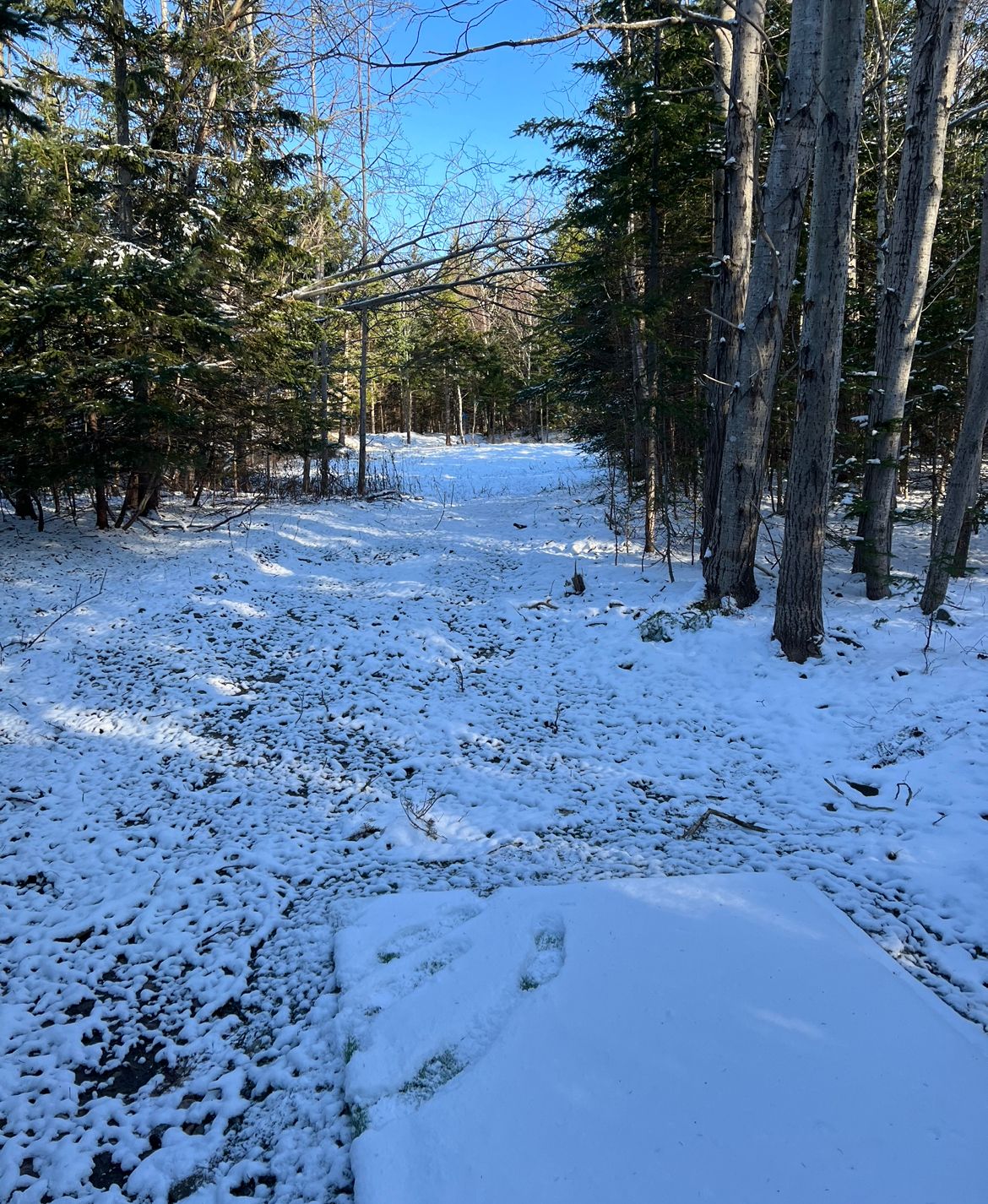 15 tee box