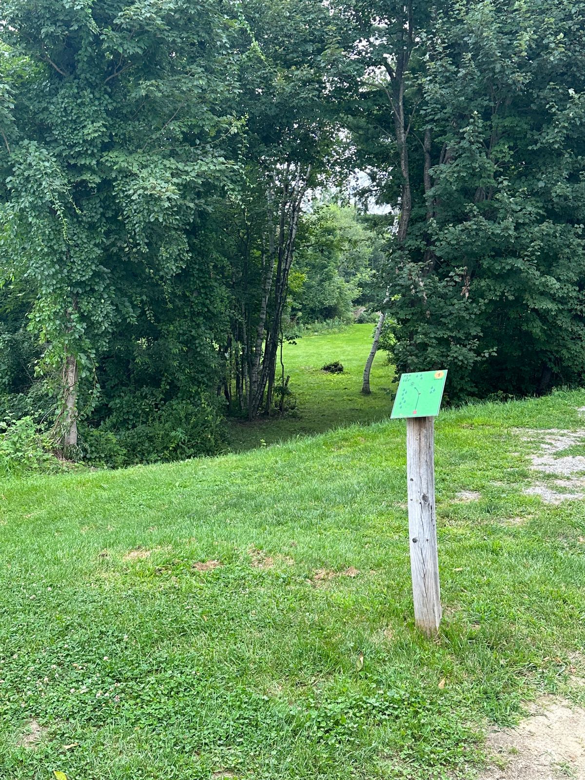 Hole 1
