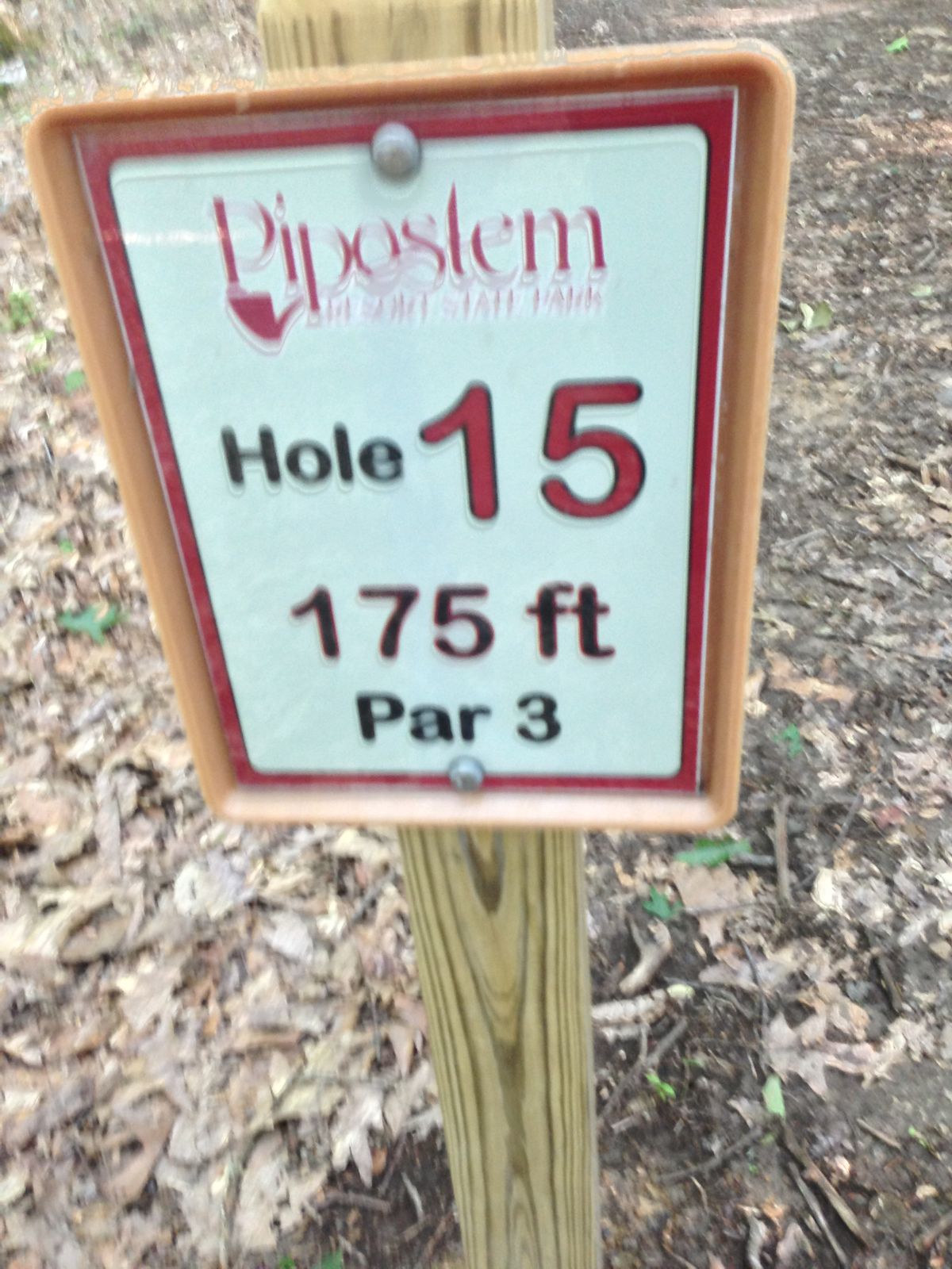 Hole 15