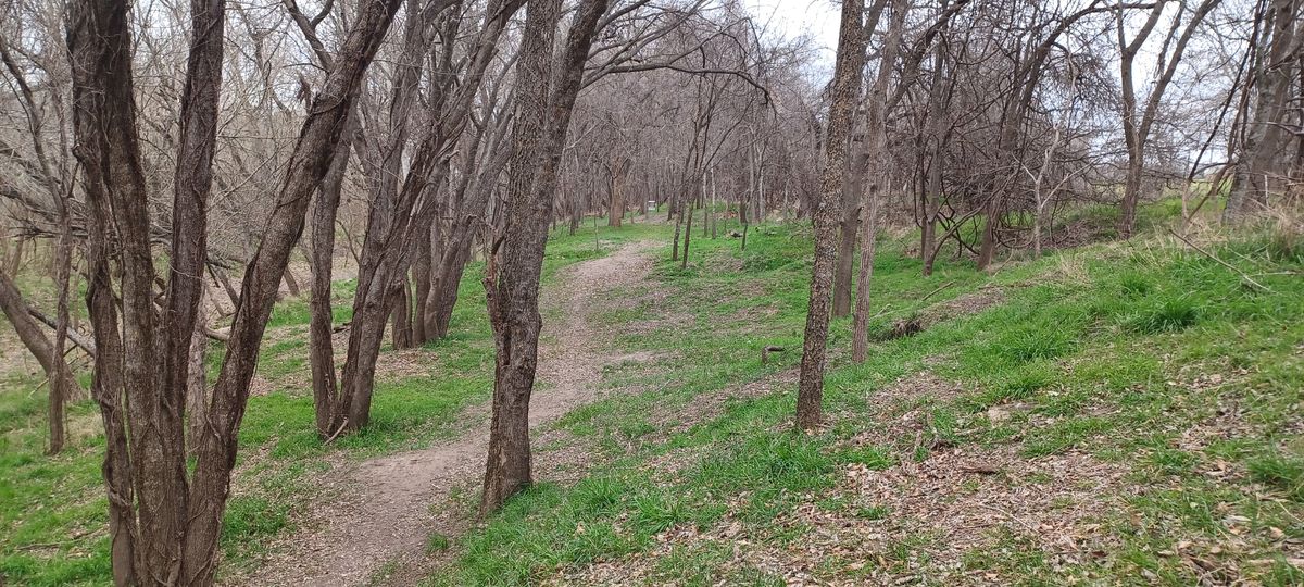 Hole 11