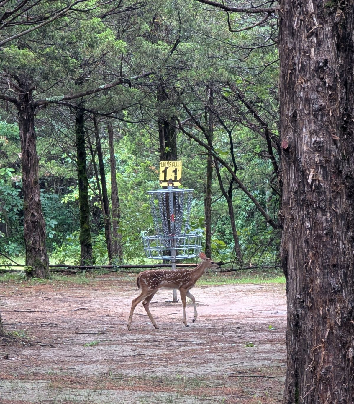 Checking out our course clean up