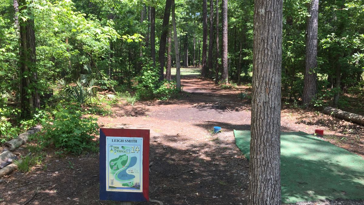 Hole 14