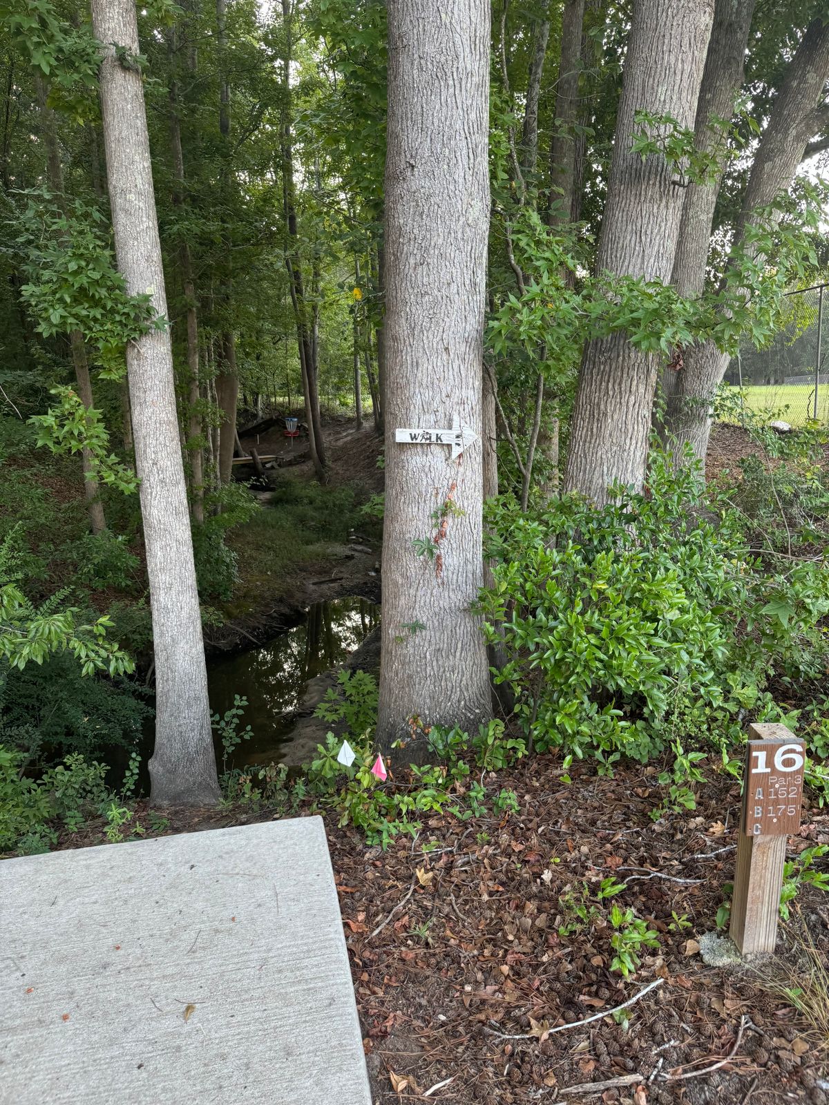 Hole #16