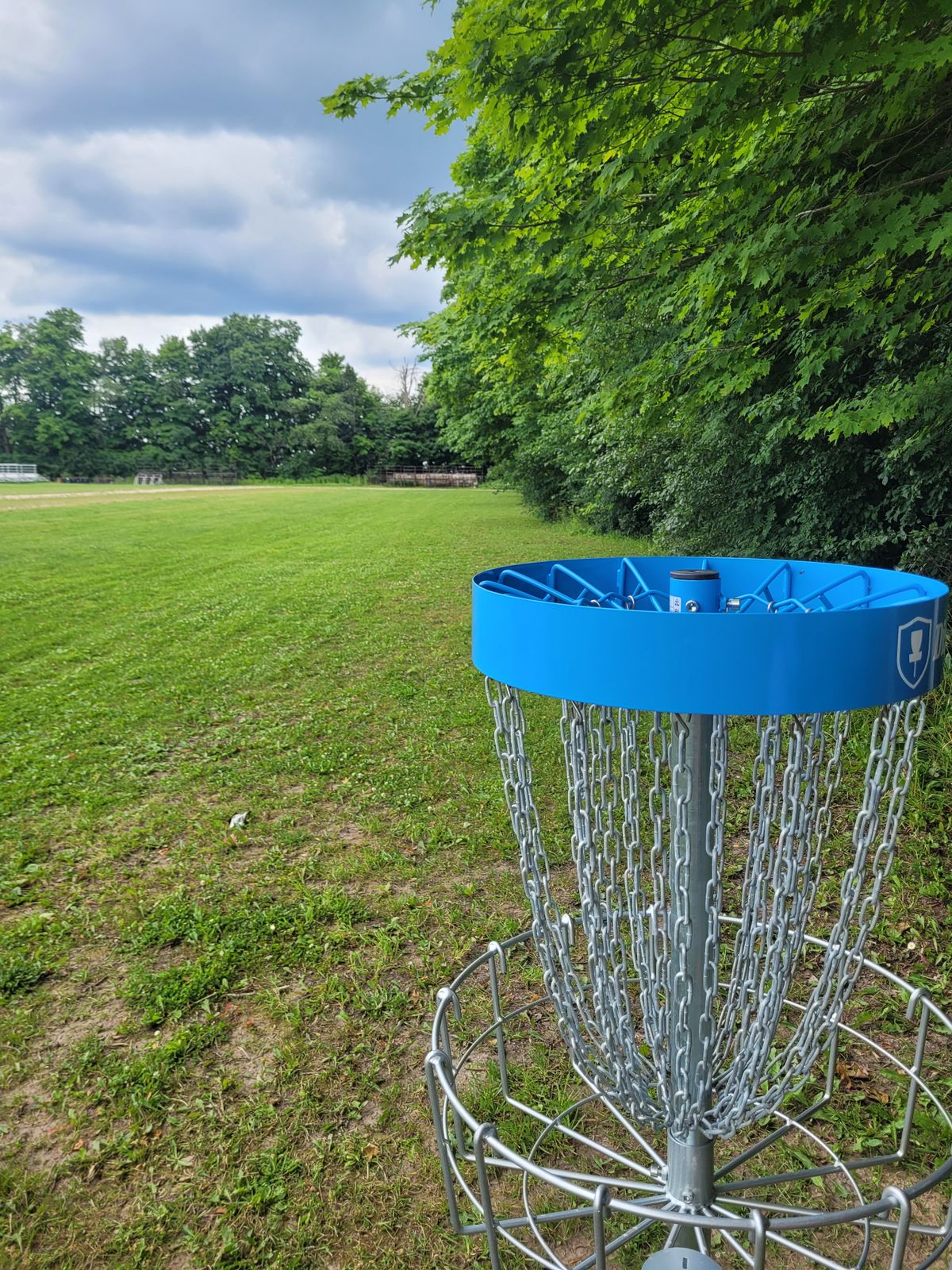 Basket + Hole #7
