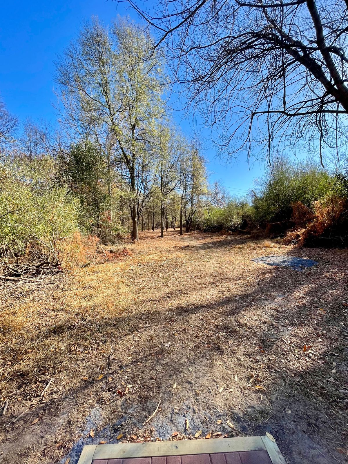 Mercer County West Hole 2