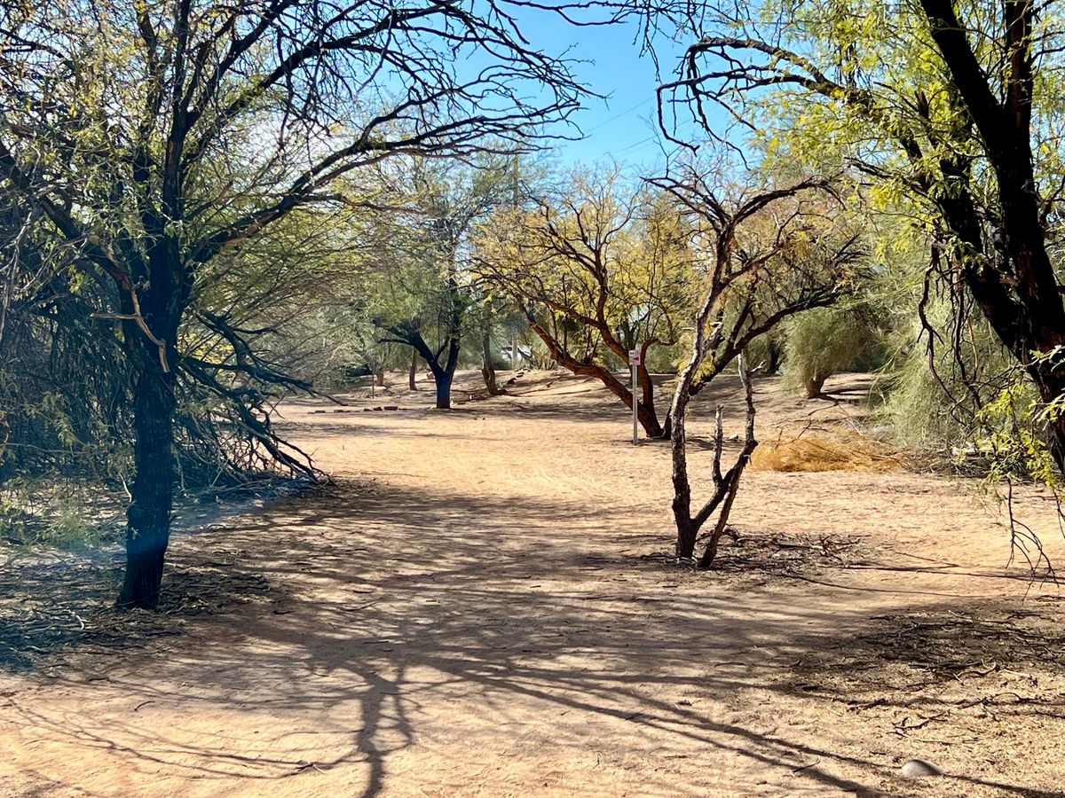 Hole 11 from tee pad