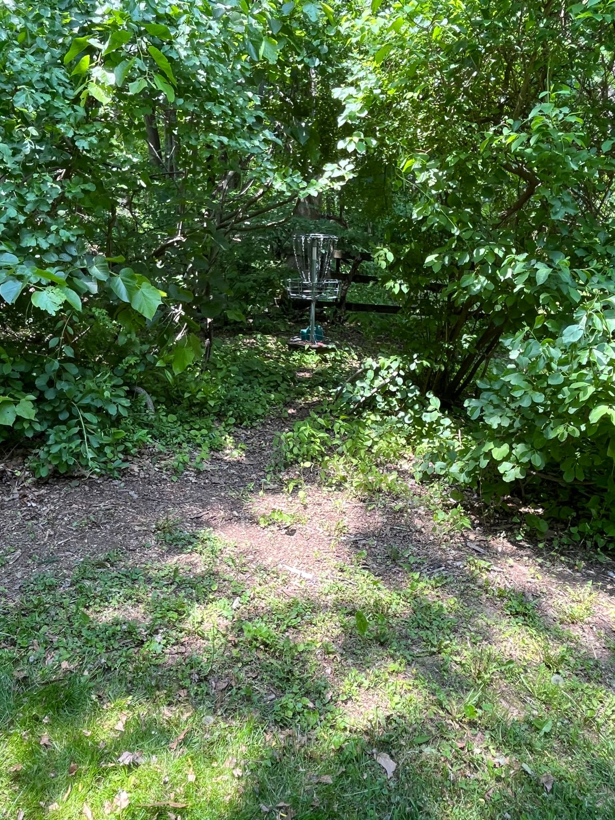 Hole 9