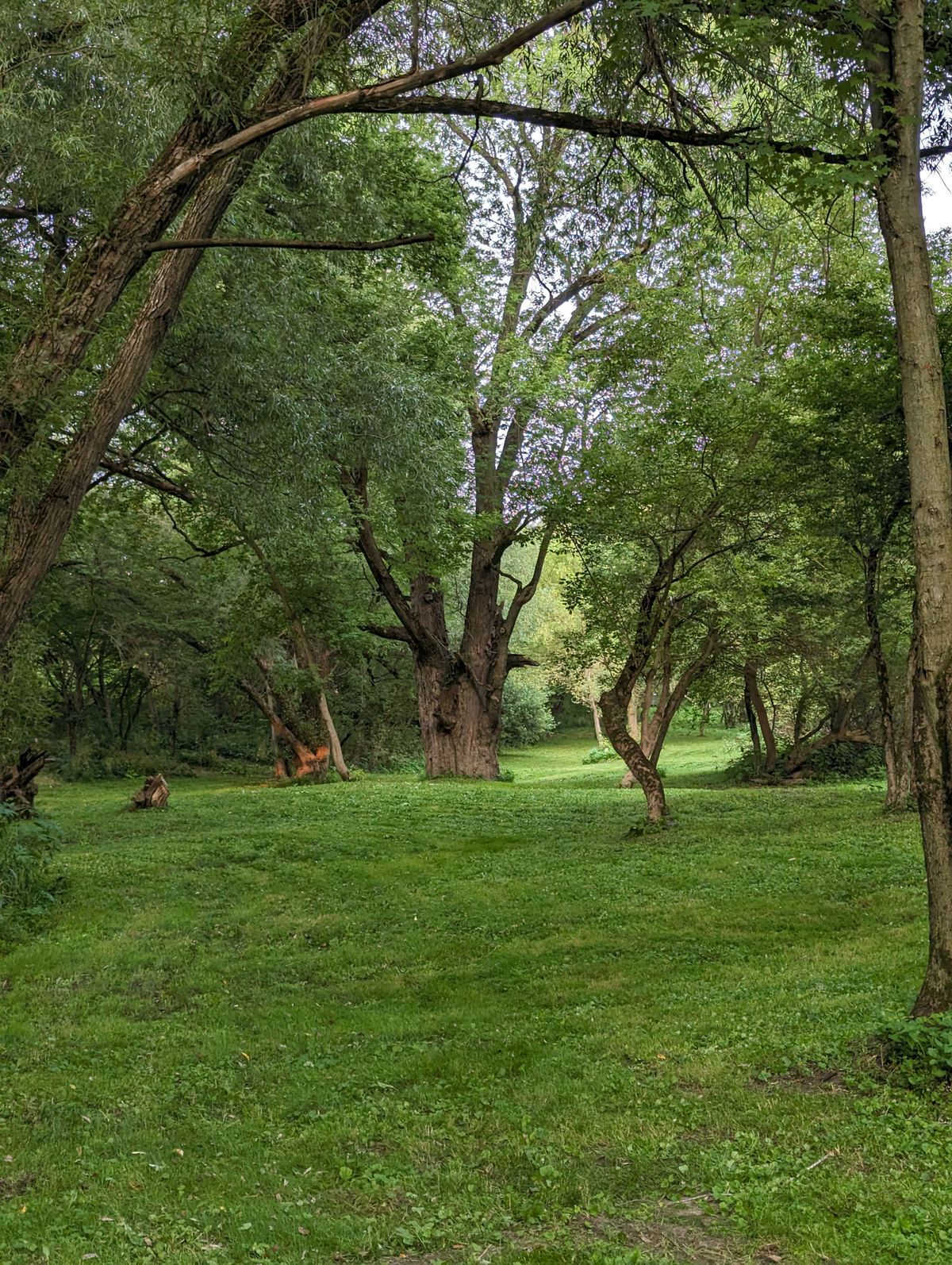 Hole 12, par 5
