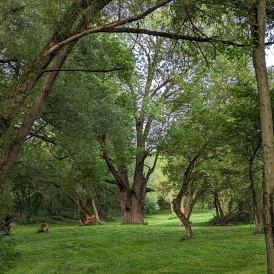 Hole 12, par 5