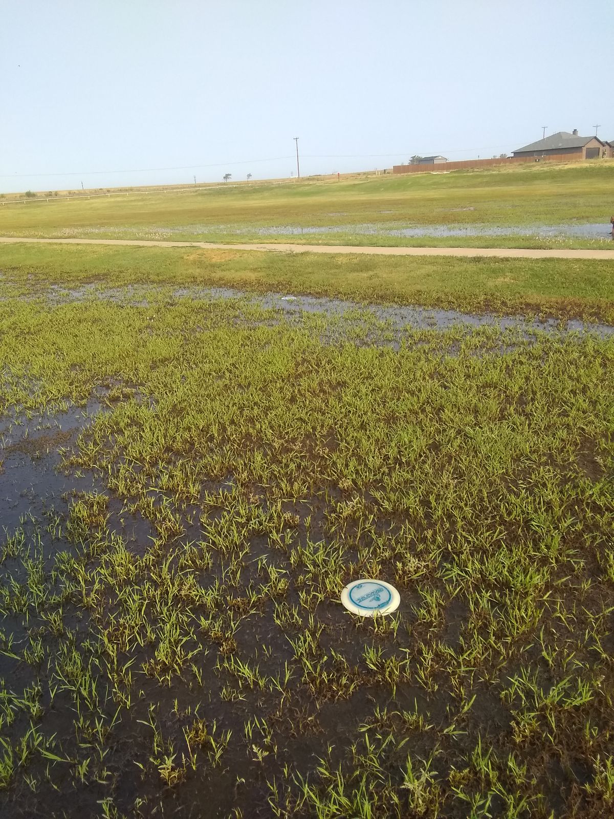 Fairway #2