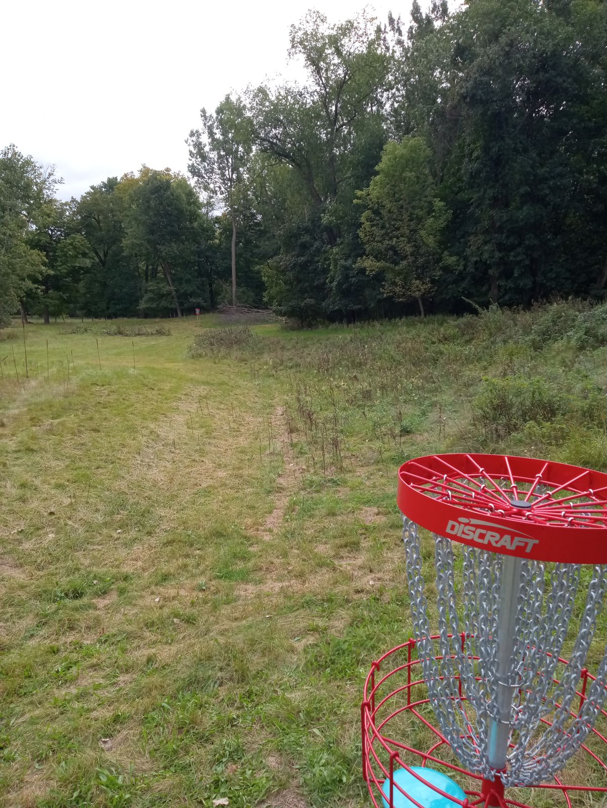 Hole 11 back to tee