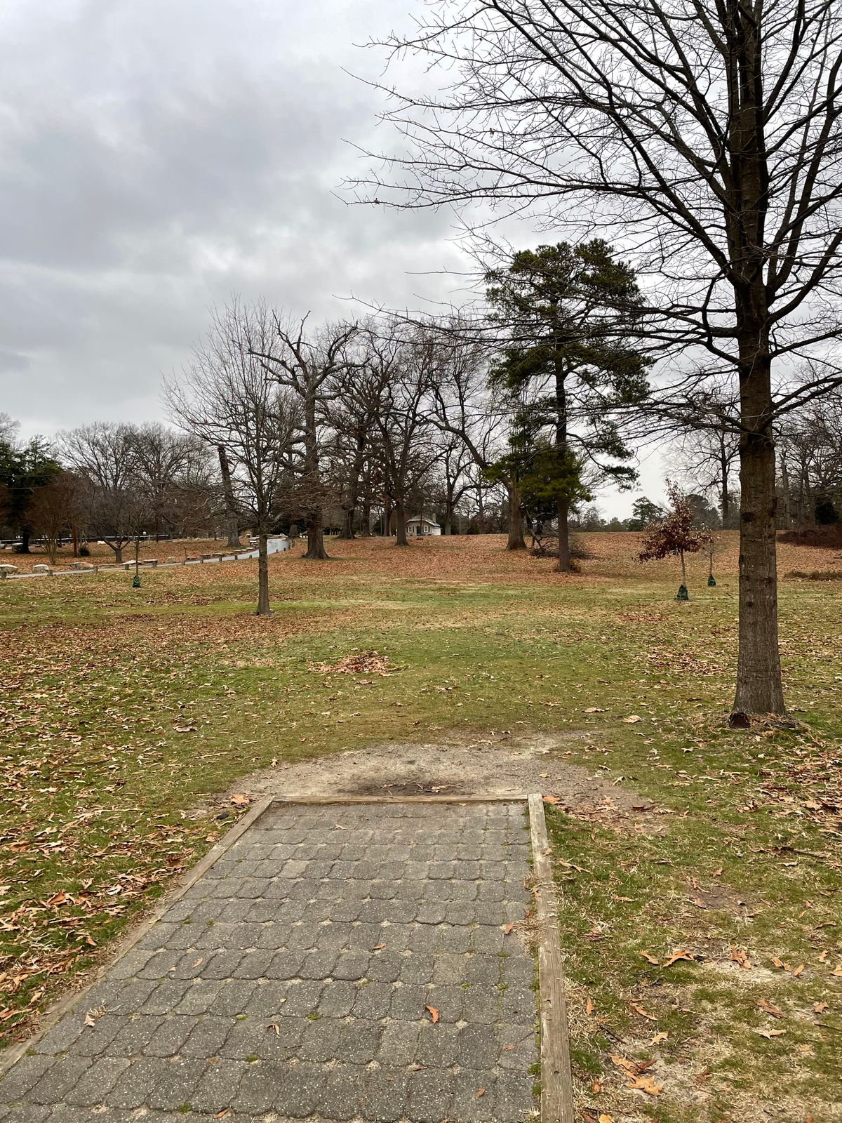 Fairway 8
January 1, 2024